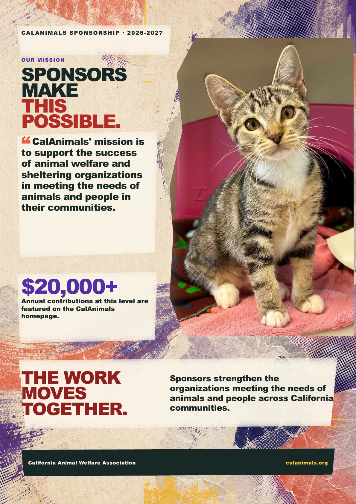 Redesigned CalAnimals sponsorship prospectus, page 2