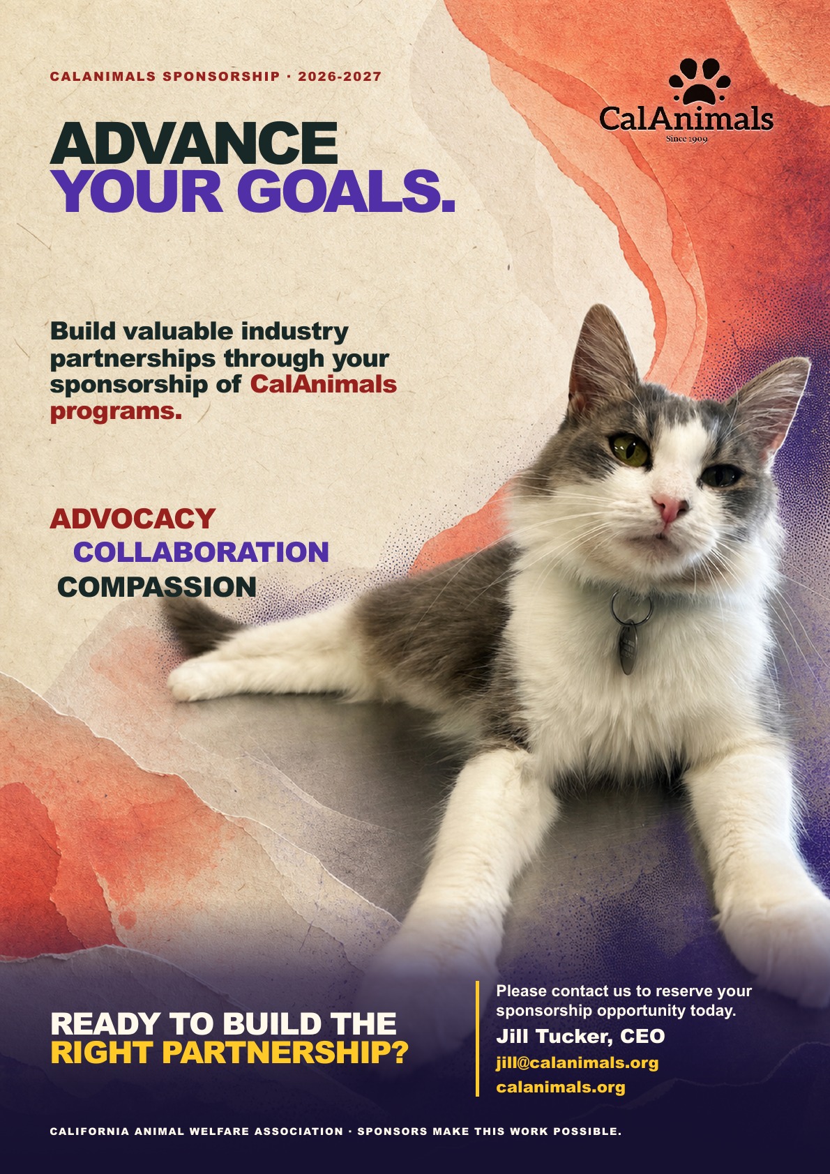 Redesigned CalAnimals sponsorship prospectus, page 8
